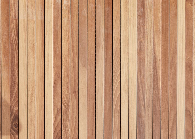 texture-of-natural-wood-of-light-species-from-vert-2026-01-08-06-53-18-utc texture-of-natural-wood-of-light-species-from-vert-2026-01-08-06-53-18-utc
